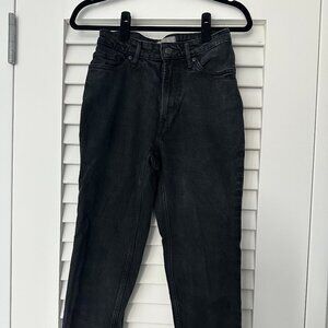 Everlane The Curvy Cheeky Jean, 26 Crop